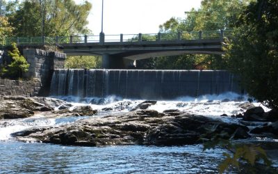 RTE to Provide Comprehensive Streetlight Maintenance Services to the Town of Mechanic Falls, Maine